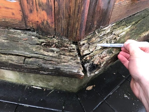 Wet Wood Rot