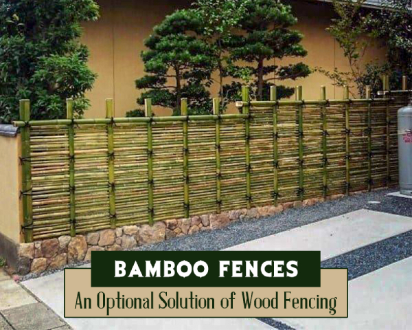 Bamboo Fencing for House Boundary