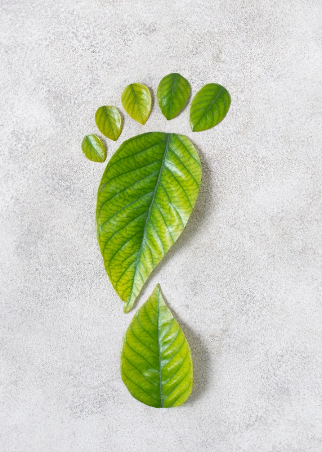 The Environment Friendly Nature of Roman Concrete
