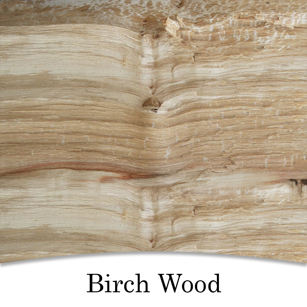 Birch Wood