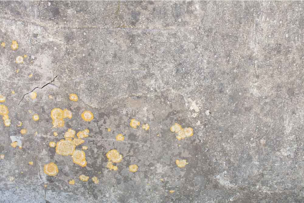 Stains on Concrete Countertop