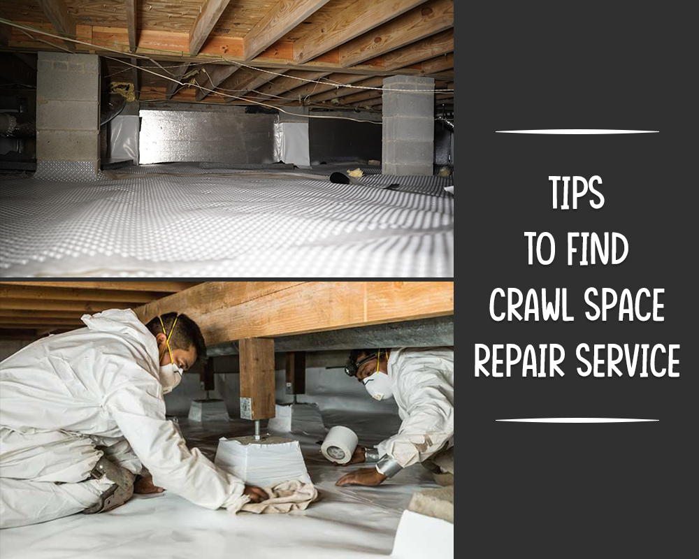 Crawl Space Work
