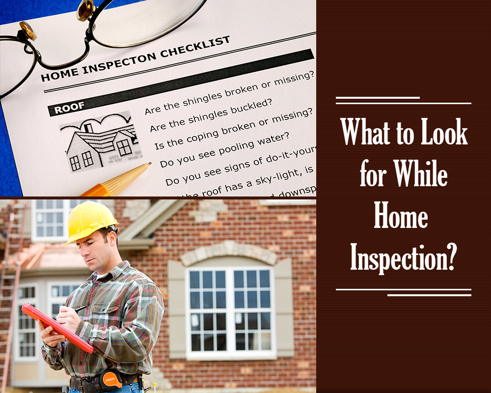 Building Inspection