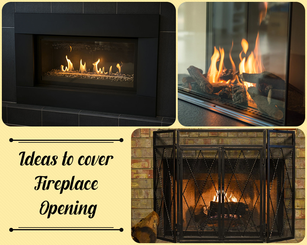 Ideas to cover Fireplace Opening