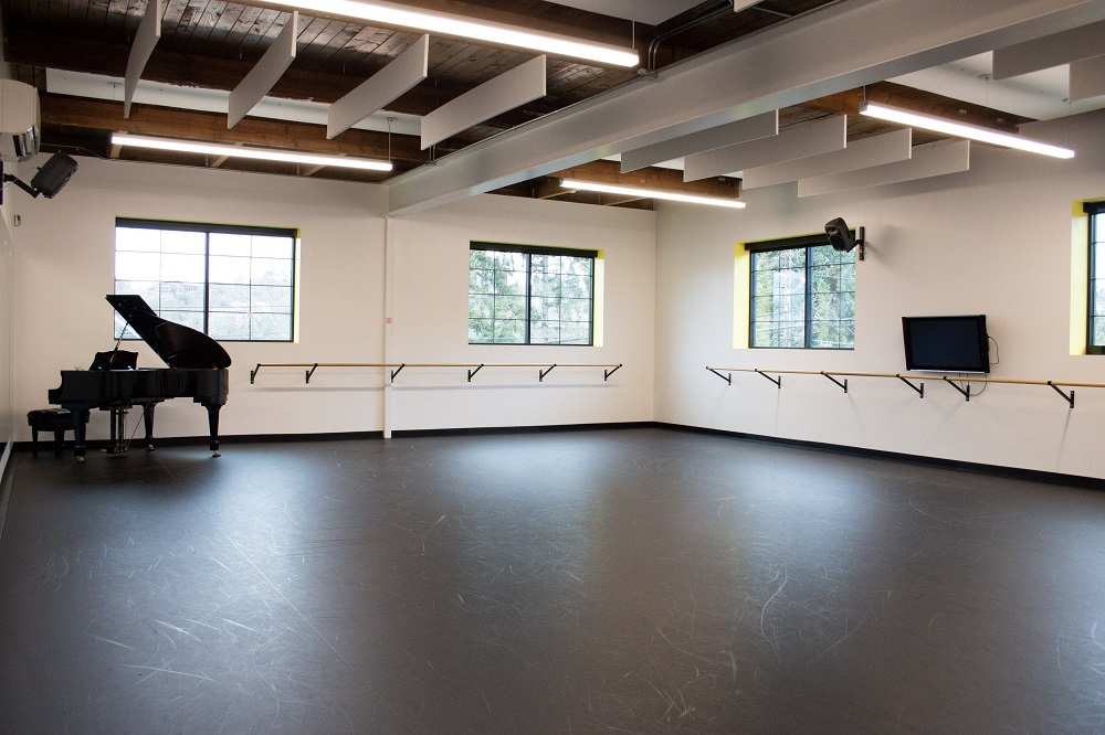 Acoustic Panels in Dancing Studios
