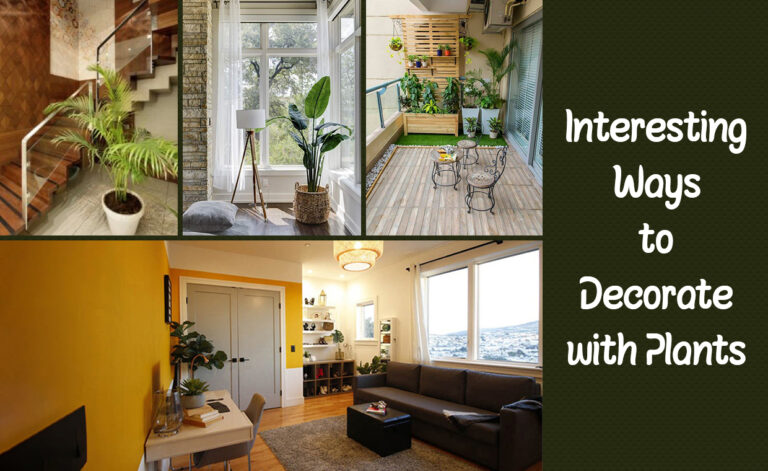 Interesting Ways to Decorate with Plants