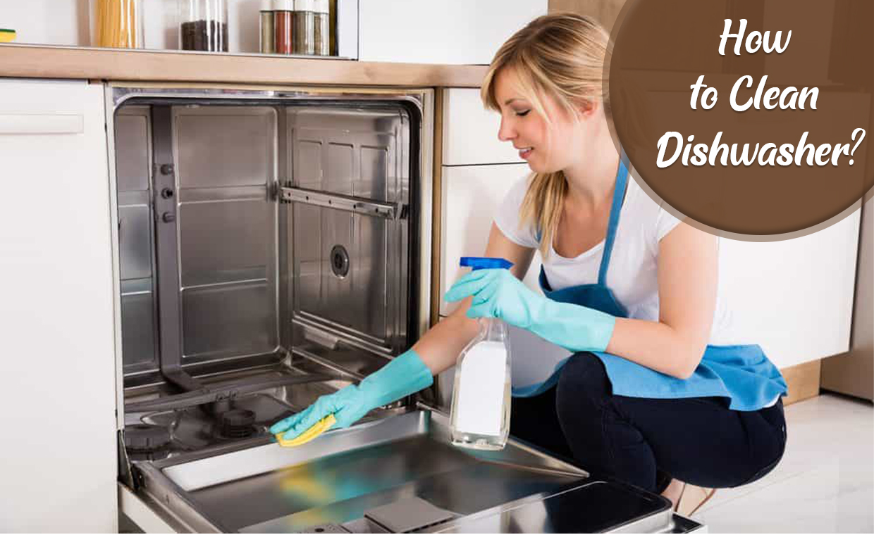 How to Clean Dishwasher