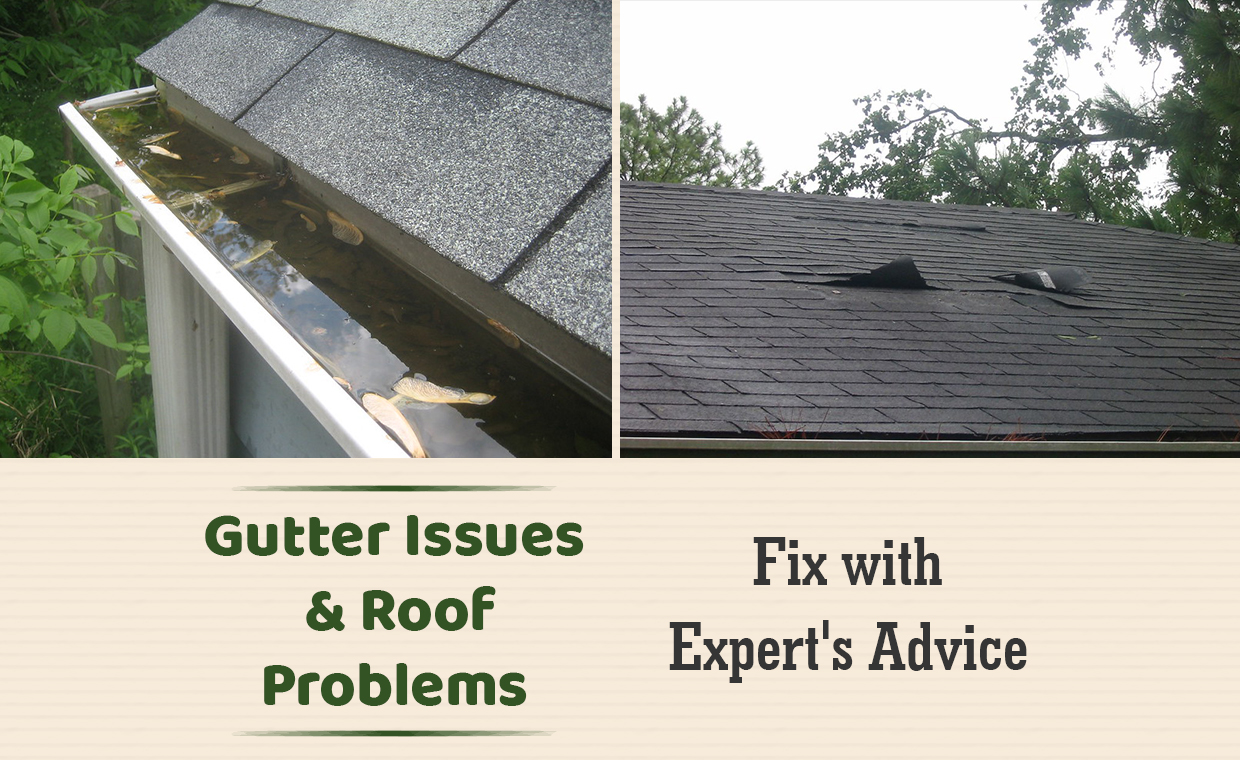 Gutter Issues & Roof Problems - Fix with Expert's Advice
