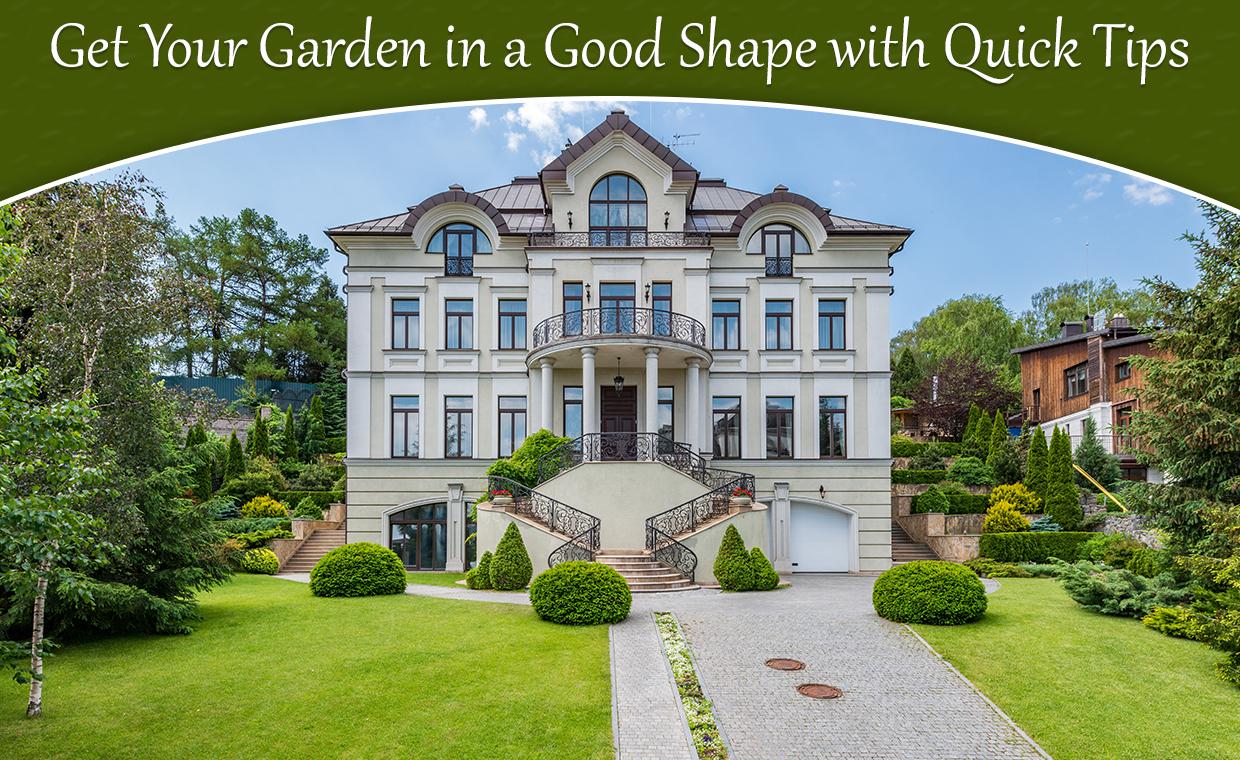 Get Your Garden in a Good Shape with Quick Tips