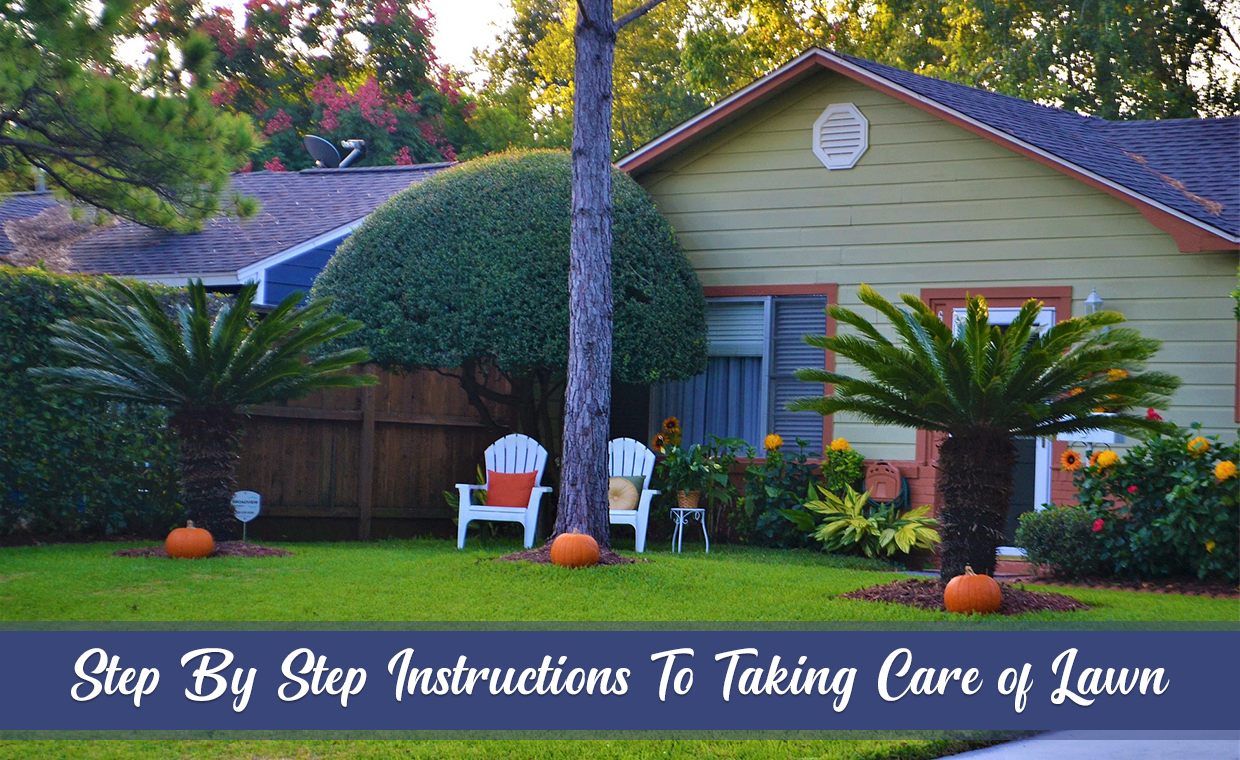 Step By Step Instructions To Taking Care of Lawn