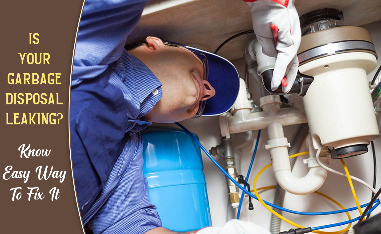 Is Your Garbage Disposal Leaking - Know Easy Way To Fix It
