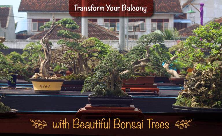 Bonsai Balcony for your Home