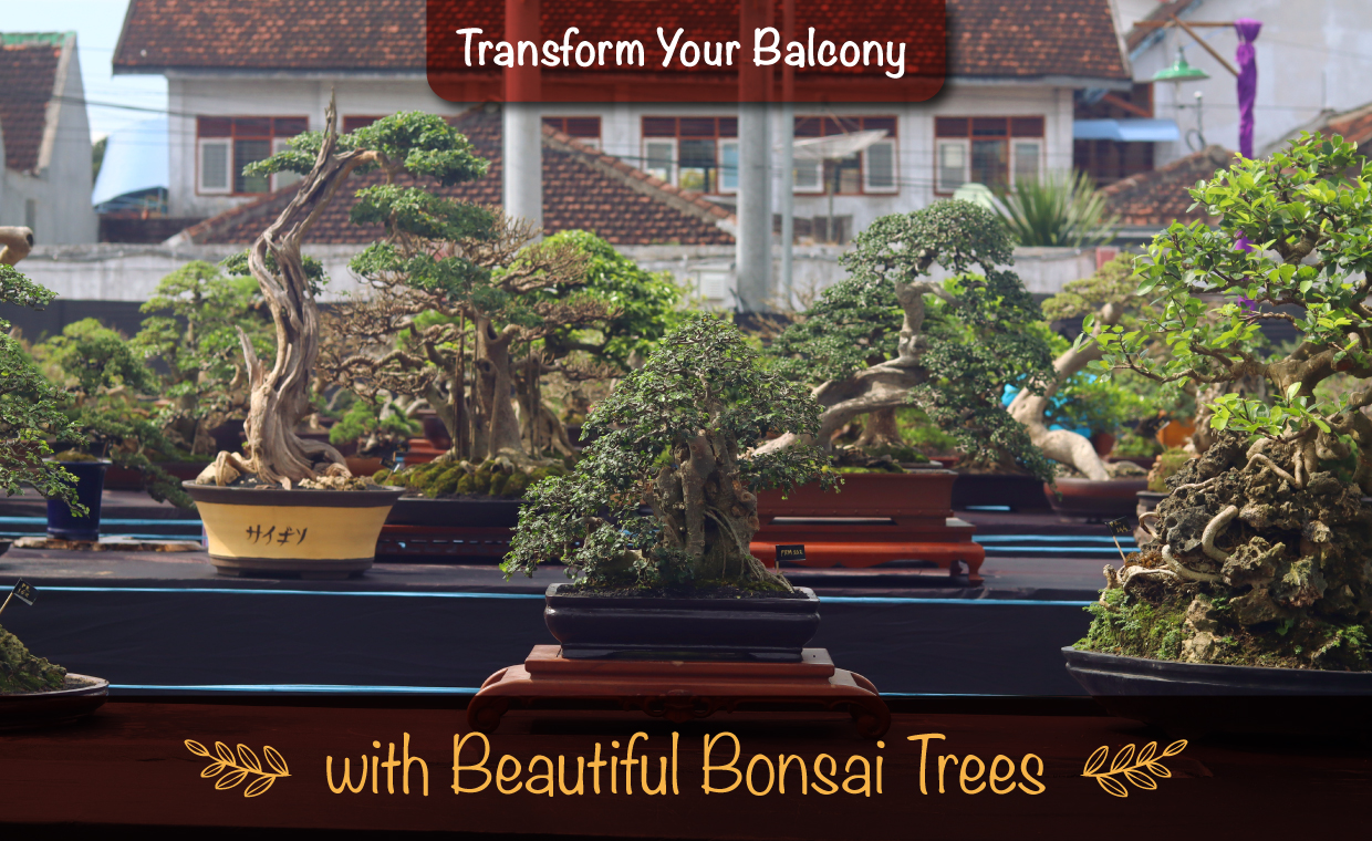 Bonsai Balcony for your Home