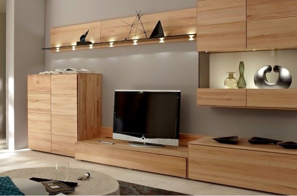 T.V. Unit