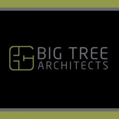 Big Tree Architects