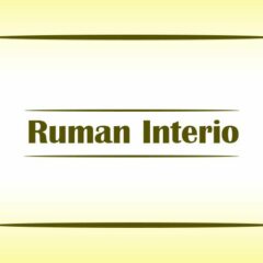 Ruman Interio
