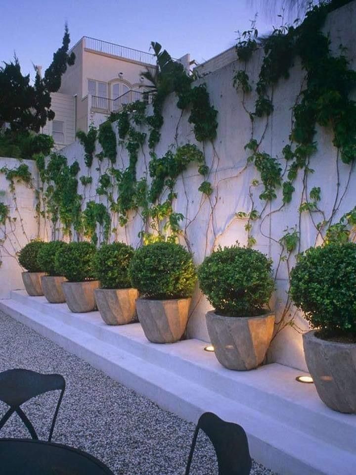 Home Garden