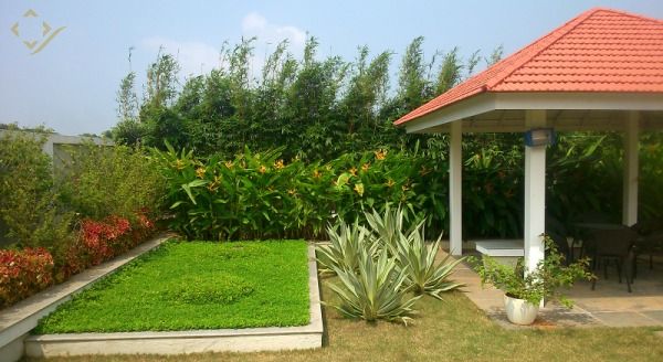 Home Garden