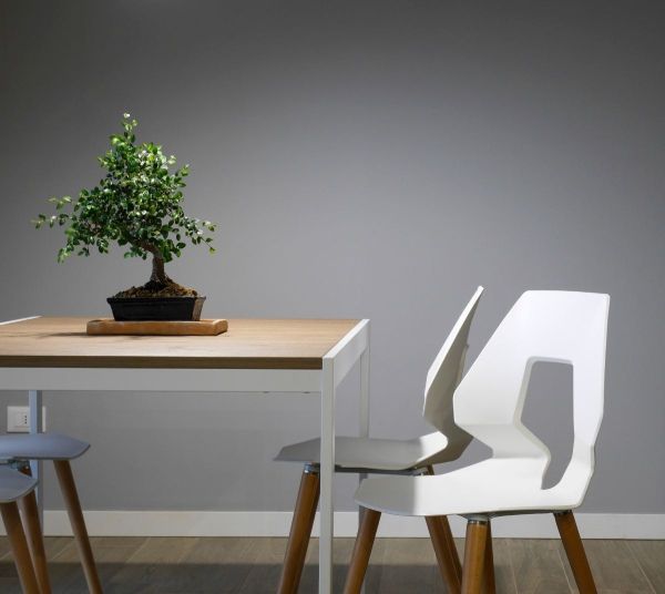 Dining Room – Table