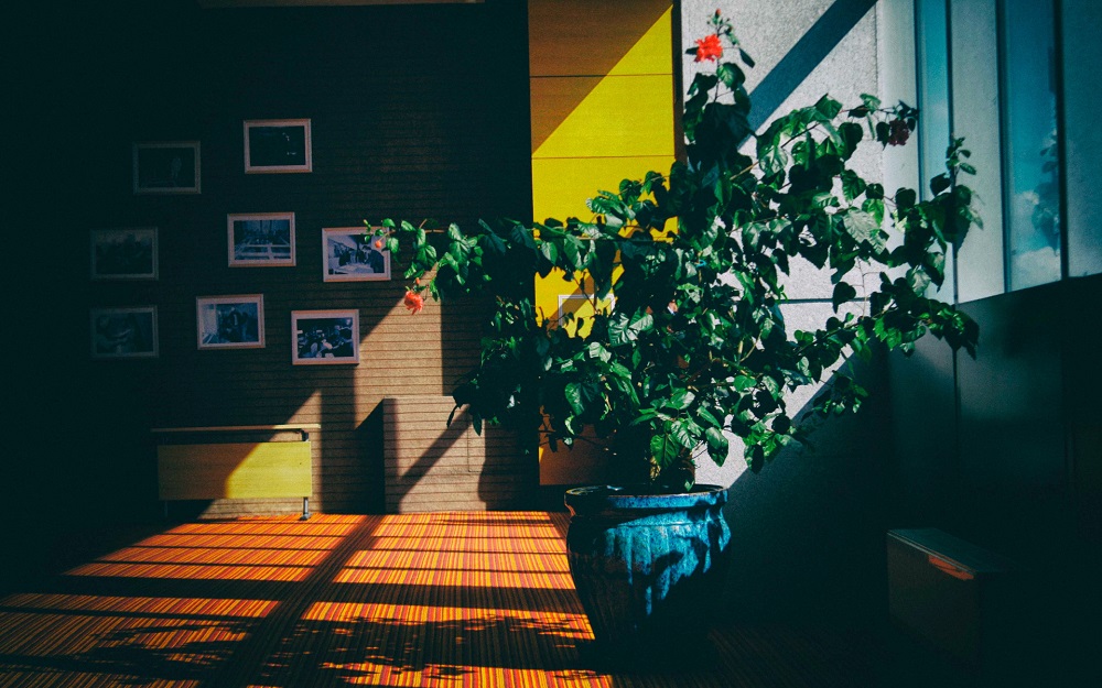 Choosing An Unsuitable Decor