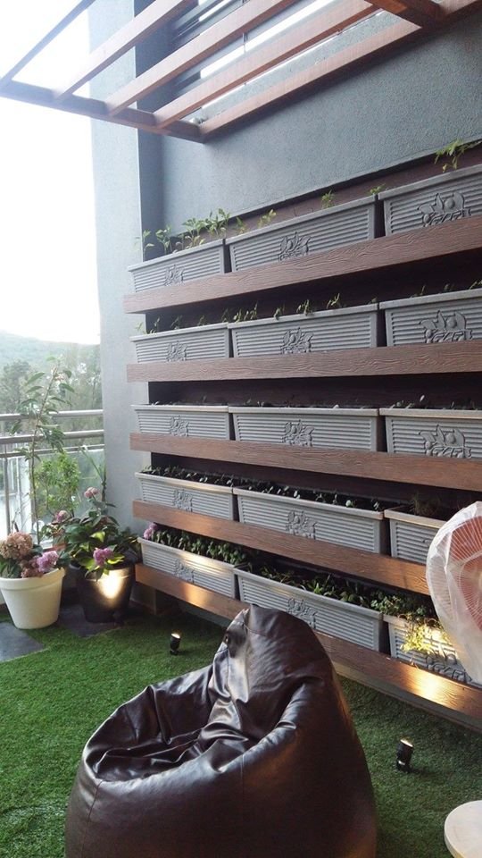 Vertical Gardening in Balcony