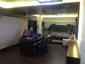 Office Interior Design