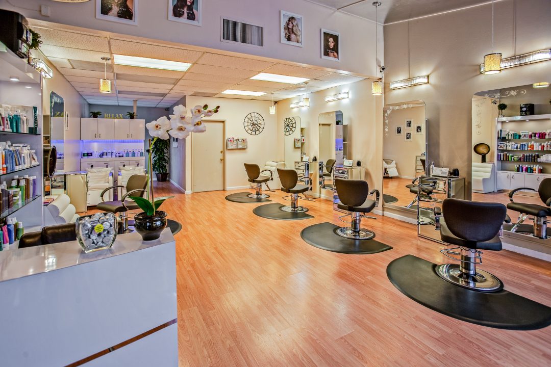 Salon Interior Design