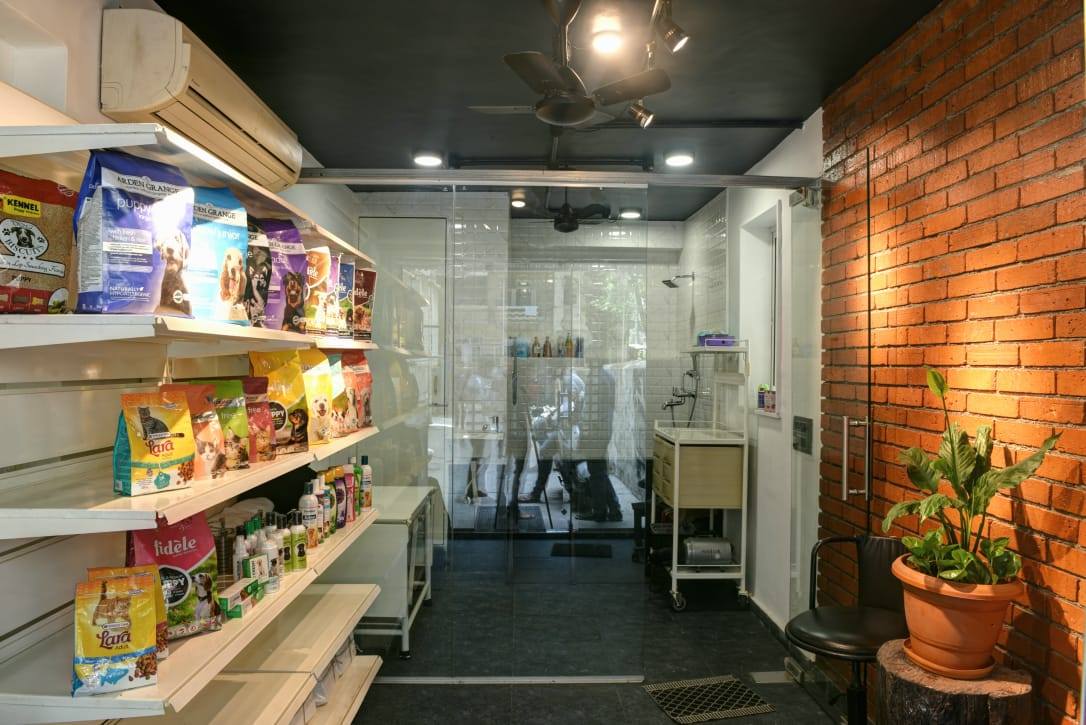 Shop Interior Design