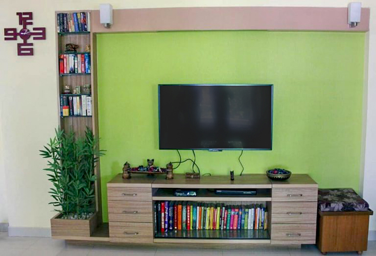 TV-Unit-Wall-highlighted-with-Green-Shaded-Wall-Paint-incorporates-Wooden-Panelling-with-Decorative-Wall-Light