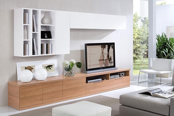 T.V. Unit