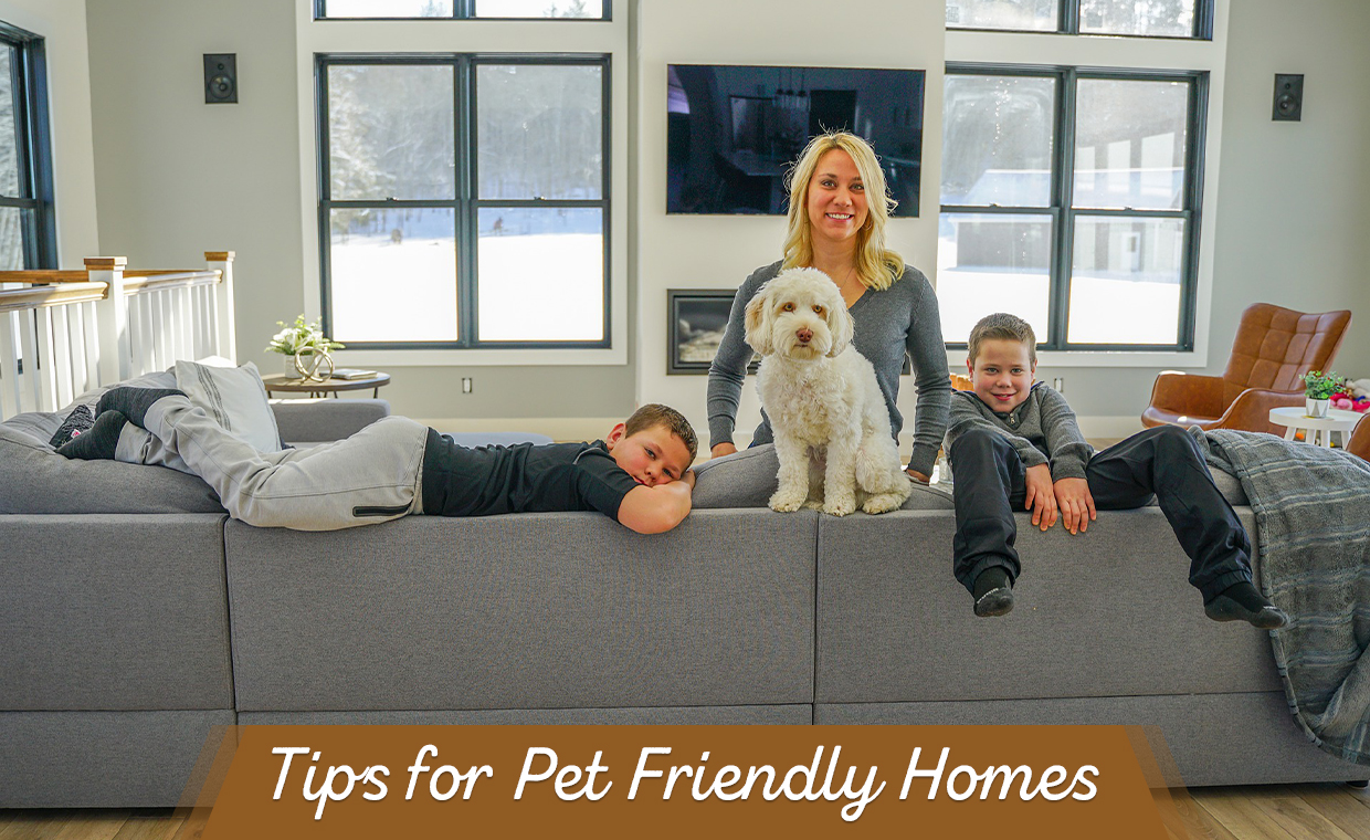 Tips to design a Pet Friendly House!