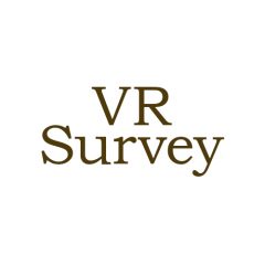 VR Survey