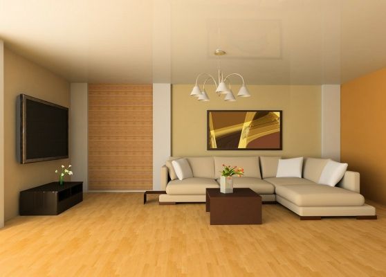 Living Room Interior Design