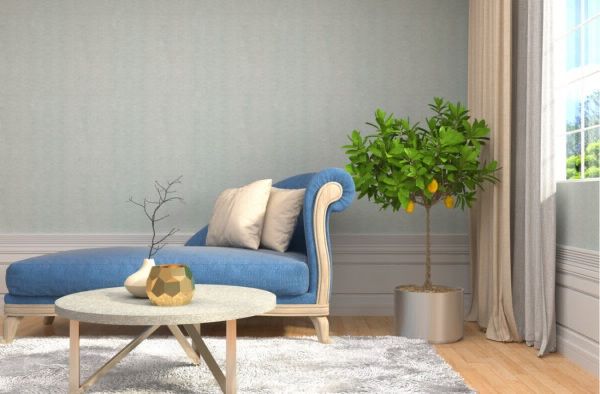 Sofa – Center Table