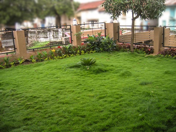 Home Garden