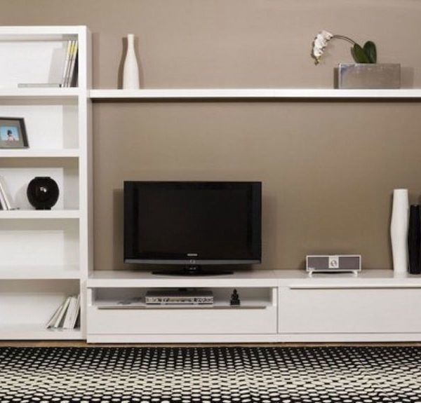 T.V. Unit