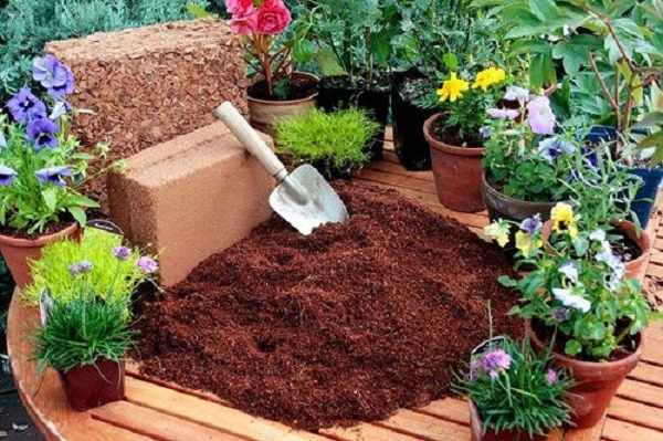 Coir Pith: Organic Potting Mix Material