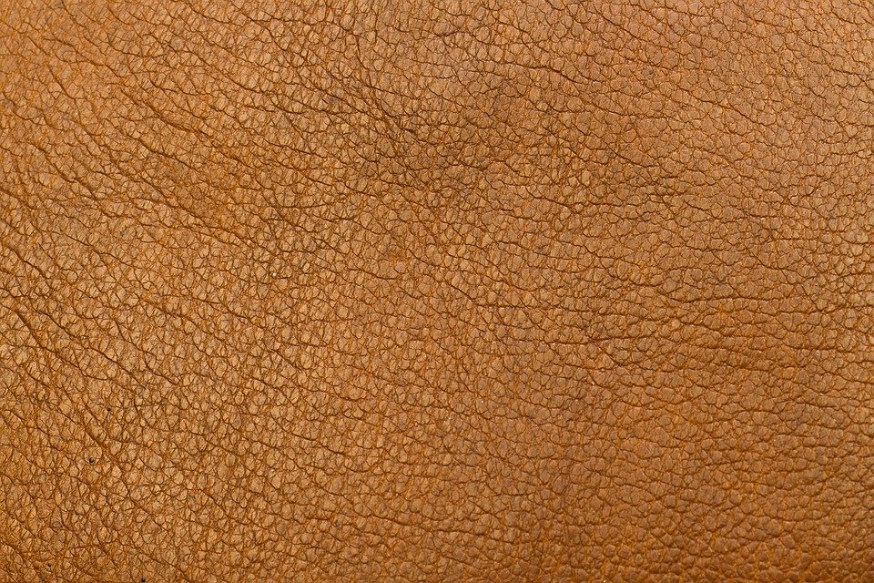 Cleaning Upholstery of Leather