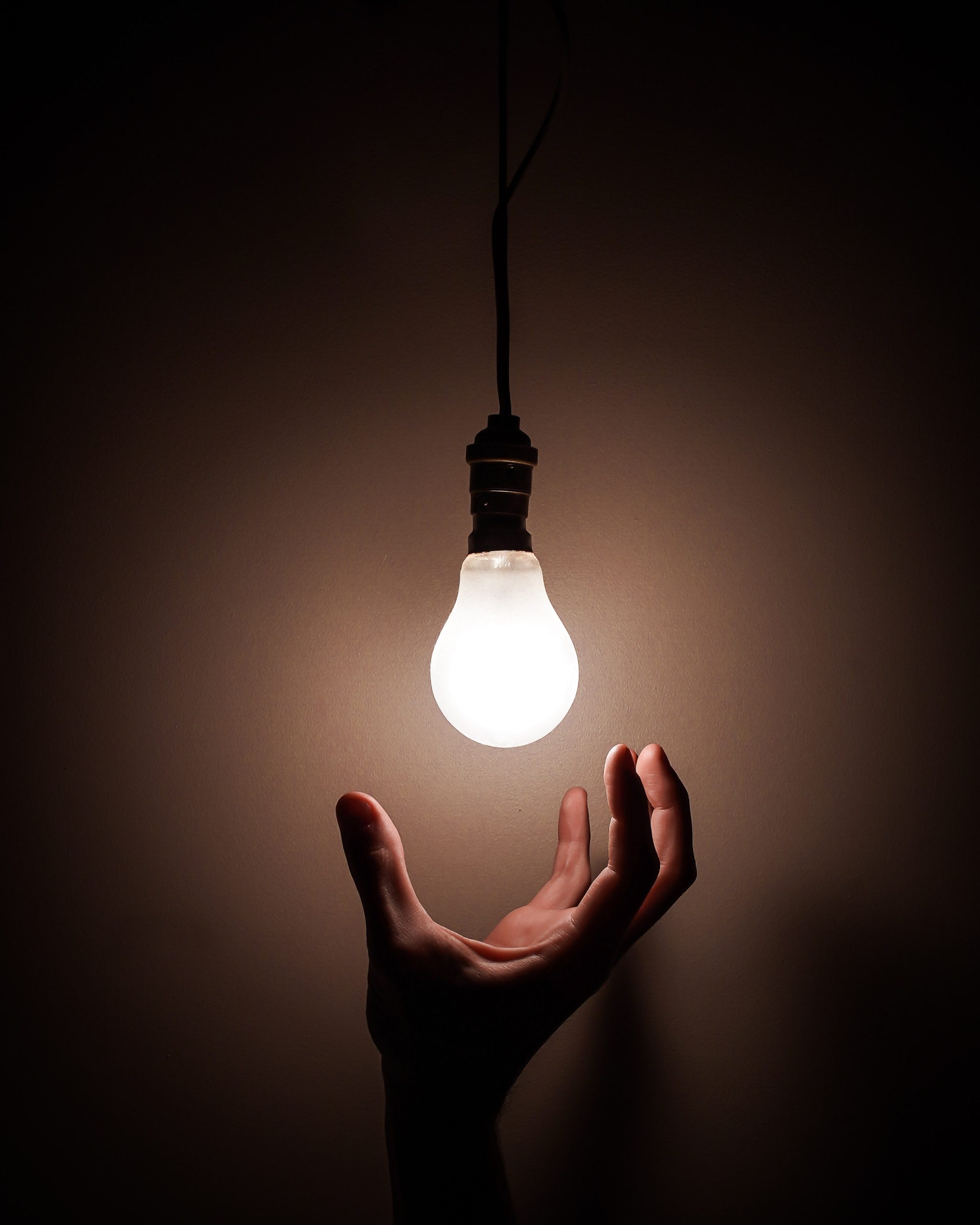 LED Bulbs
