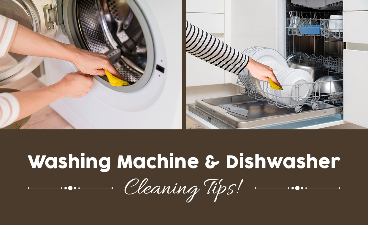 Cleaning Tips for Washing Machine & Dishwasher