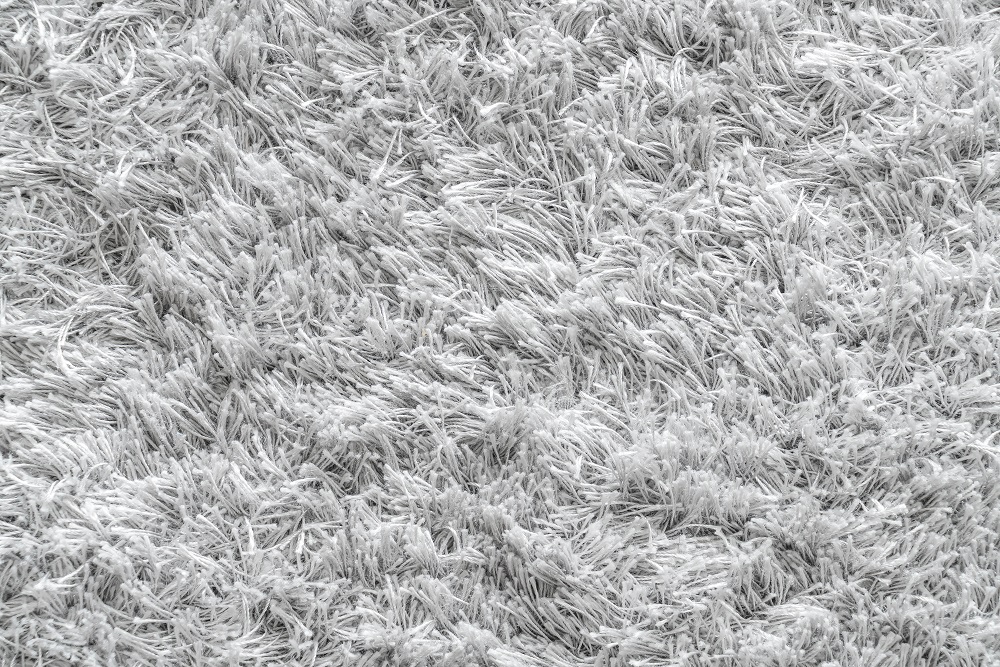 Cut Pile Carpet