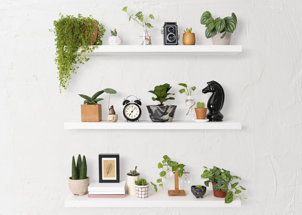 Decorating Home with Greenery Decorating Home with Greenery