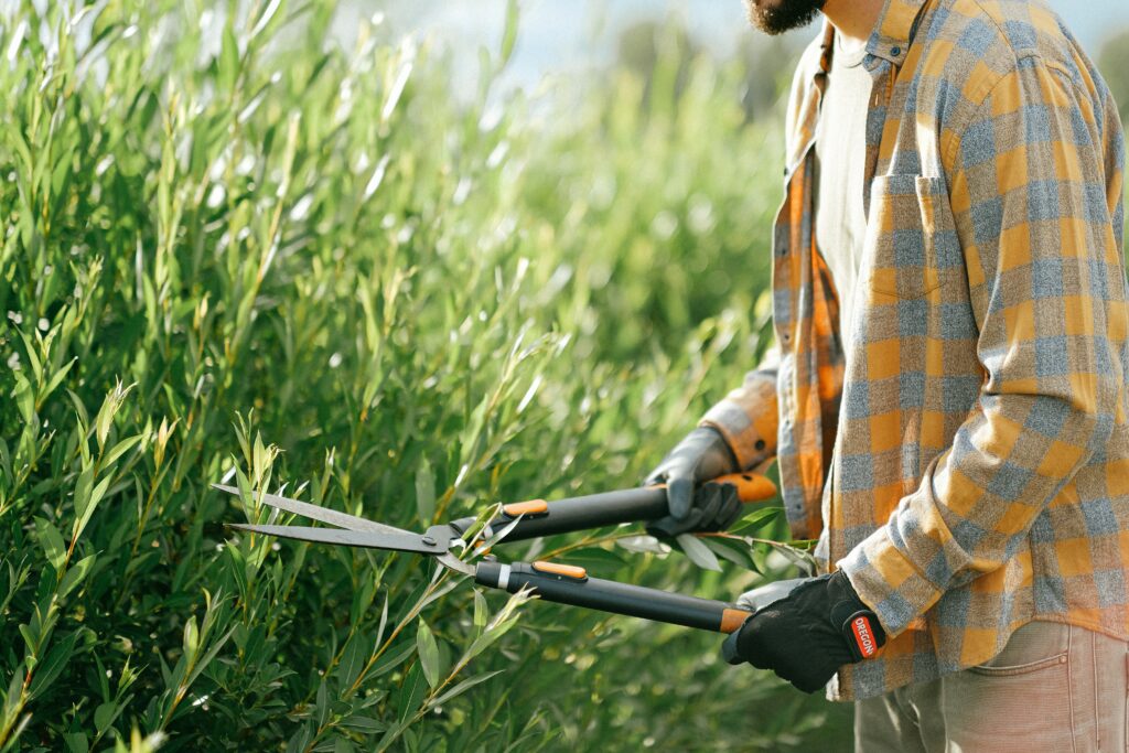 Disadvantages of Gardening Disadvantages of Gardening