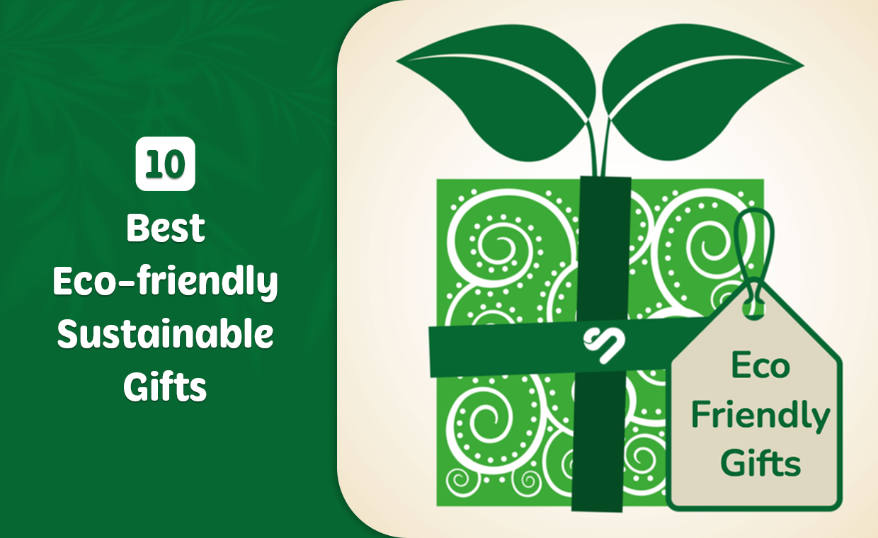 Eco - Friendly Gifts