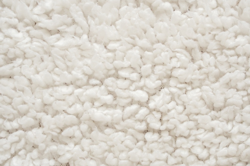 Wool Carpet