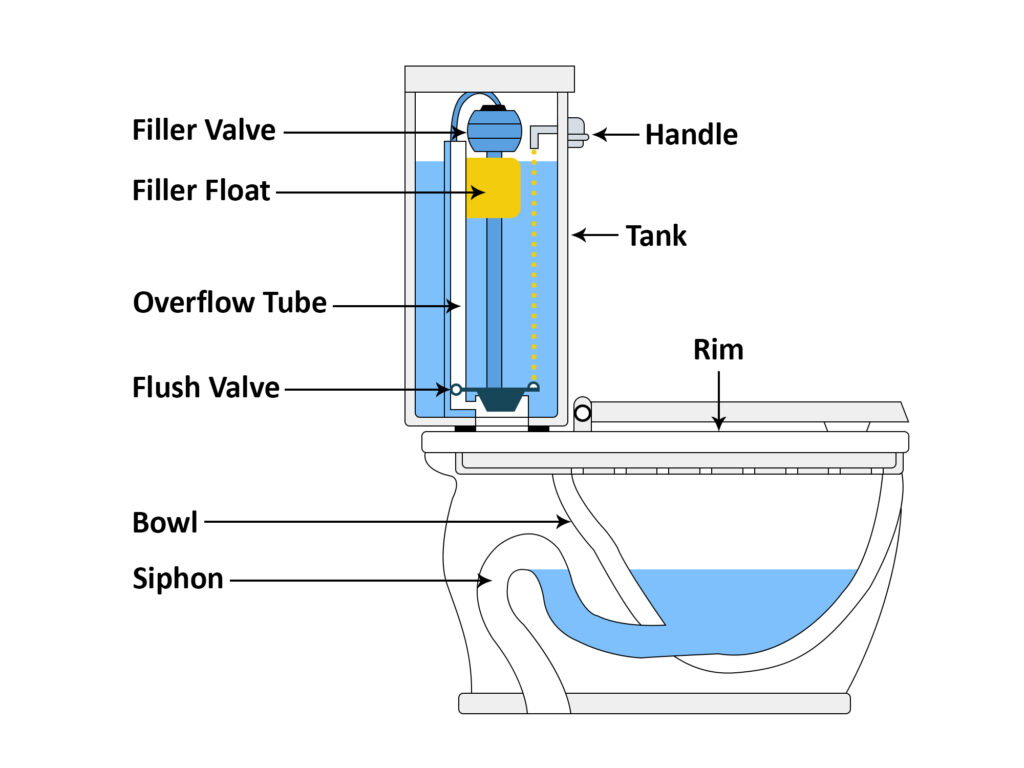 Bowl Siphon Bowl Siphon