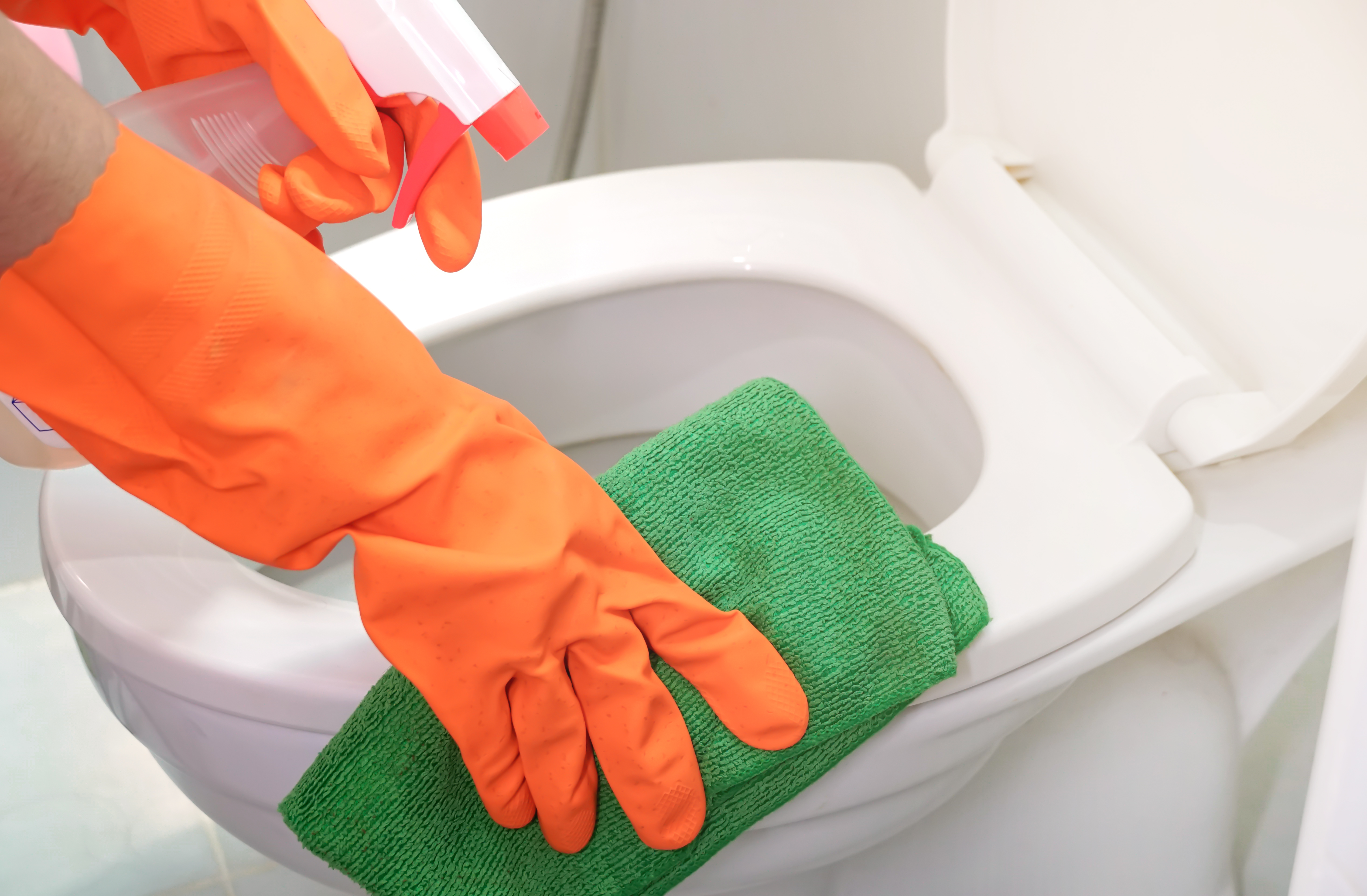 Cleaning Toilet Seat Cleaning Toilet Seat