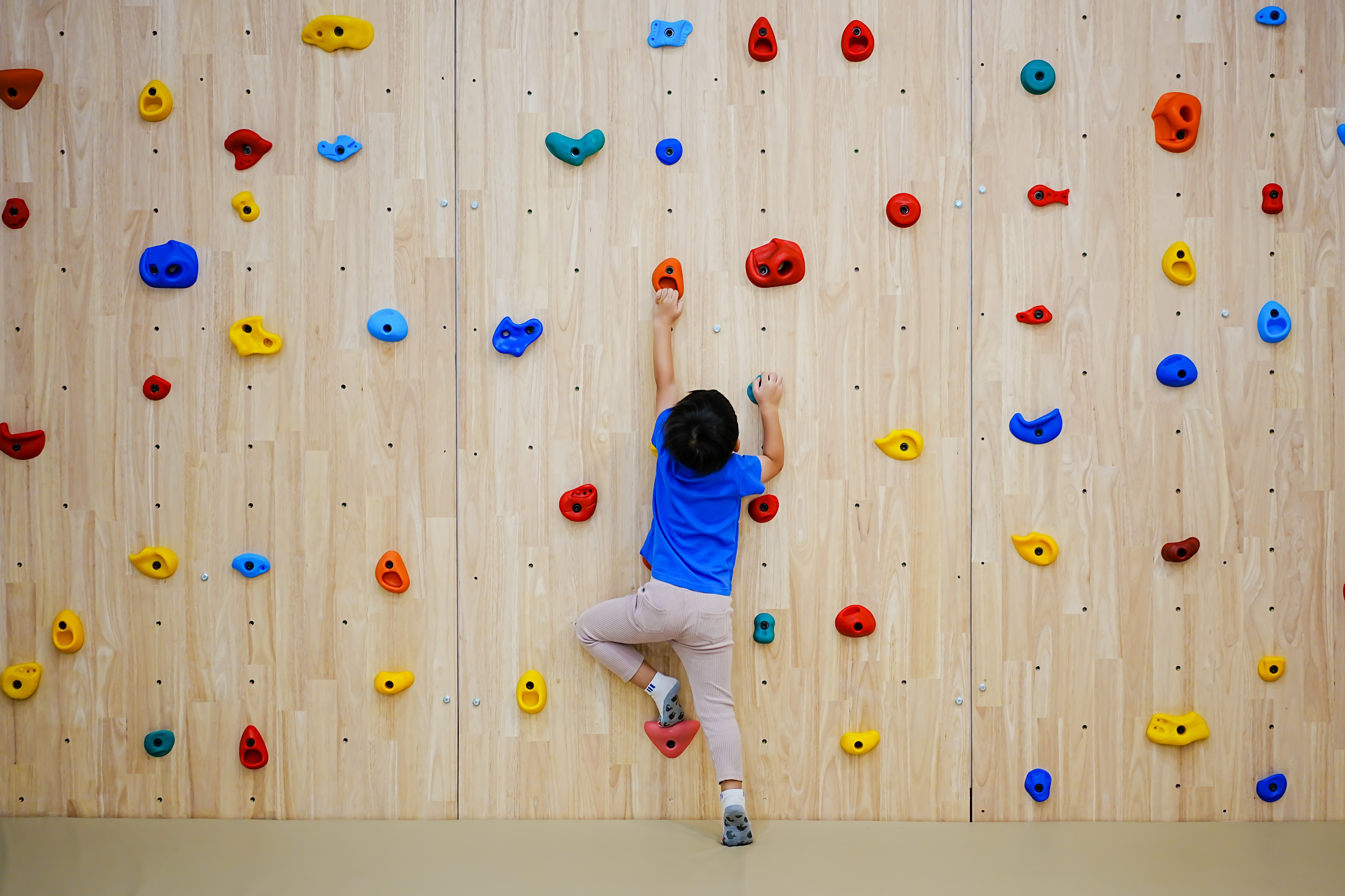 Climbing Wall