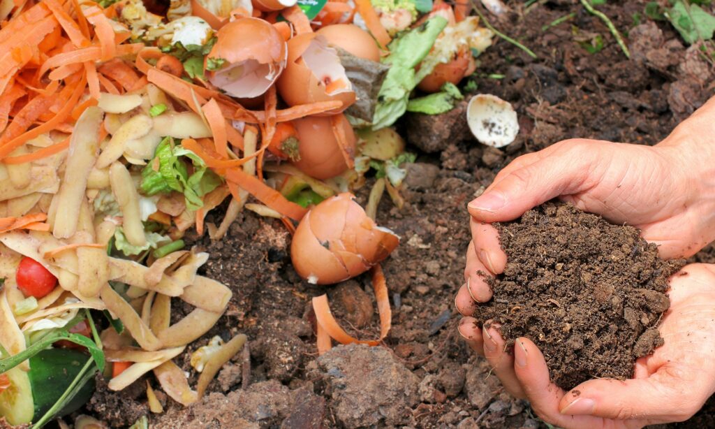 Composting Organic Waste Composting Organic Waste