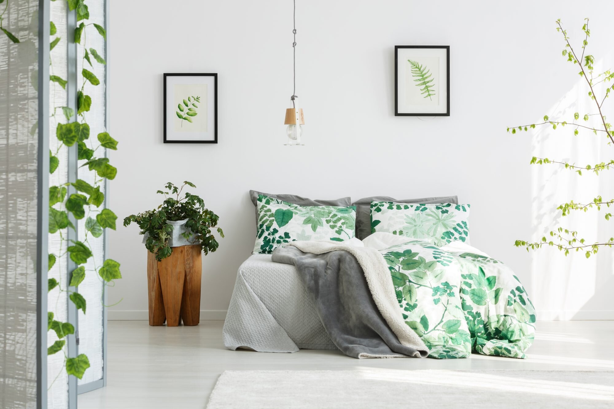 English Ivy in Bedroom